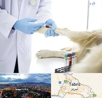 آزمایشگاه حیوانات در تبریز