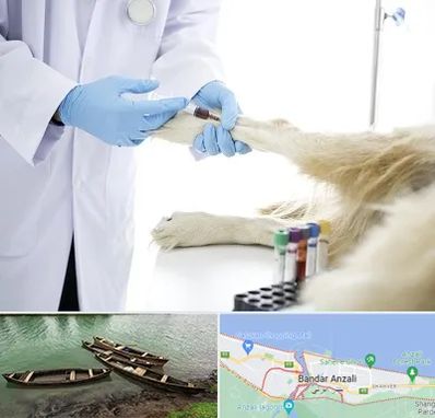 آزمایشگاه حیوانات در بندر انزلی