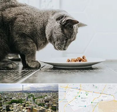 خرید غذای گربه در منطقه 8 تهران 