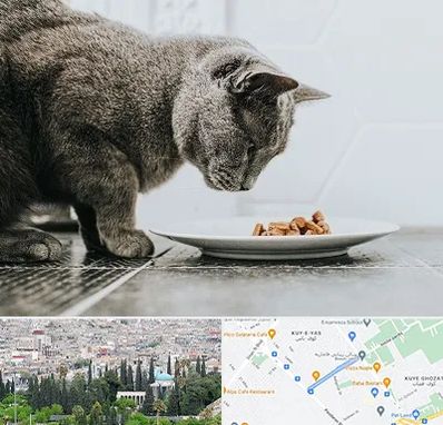 خرید غذای گربه در محلاتی شیراز