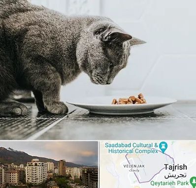 خرید غذای گربه در زعفرانیه 