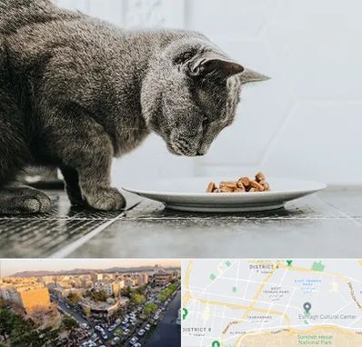 خرید غذای گربه در تهرانپارس 