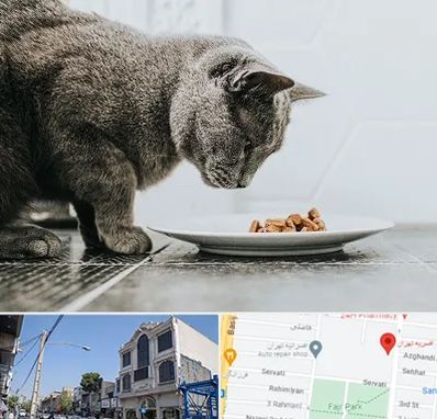 خرید غذای گربه در افسریه 