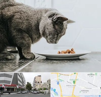 خرید غذای گربه در بلوار فردوس 