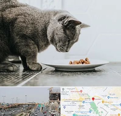 خرید غذای گربه در بلوار توس مشهد