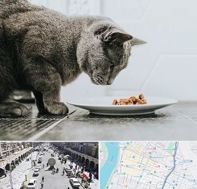خرید غذای گربه در نادری اهواز