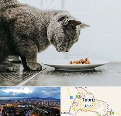 خرید غذای گربه در تبریز