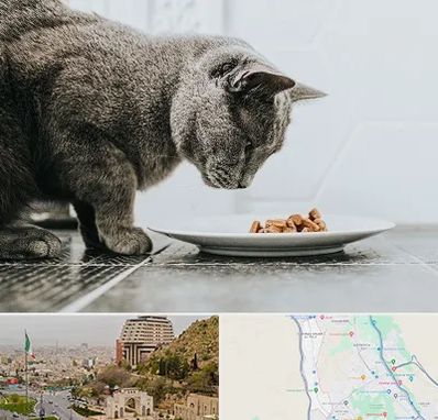 خرید غذای گربه در فرهنگ شهر شیراز