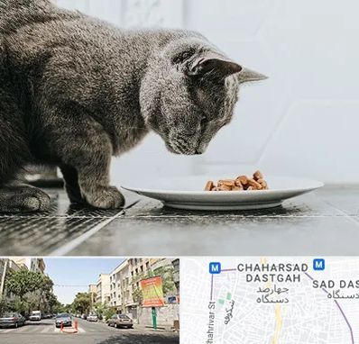 خرید غذای گربه در چهارصد دستگاه 