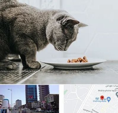 خرید غذای گربه در چهارراه طالقانی کرج