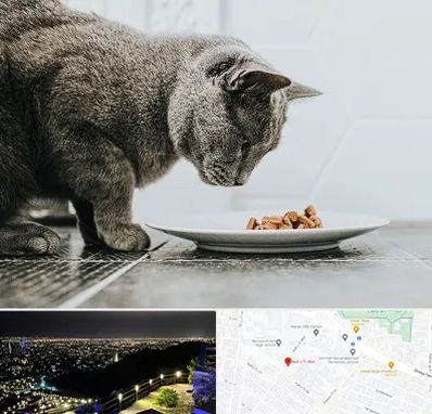 خرید غذای گربه در هفت تیر مشهد