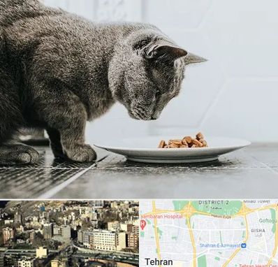 خرید غذای گربه در مرزداران 