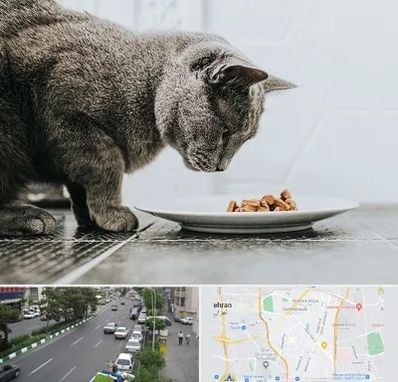 خرید غذای گربه در ستارخان 