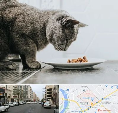 خرید غذای گربه در زیتون کارمندی اهواز