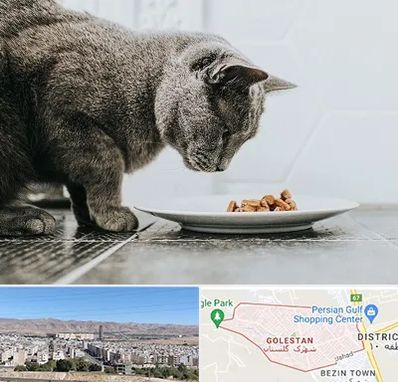 خرید غذای گربه در شهرک گلستان شیراز