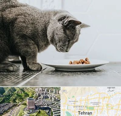 خرید غذای گربه در شمال تهران 