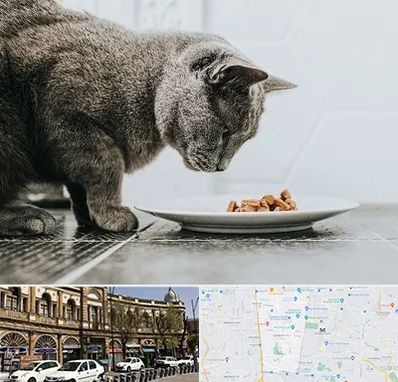 خرید غذای گربه در منطقه 11 تهران 