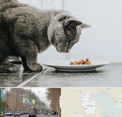خرید غذای گربه در نظرآباد کرج