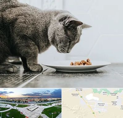 خرید غذای گربه در بهارستان اصفهان