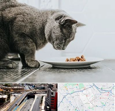 خرید غذای گربه در ستارخان شیراز
