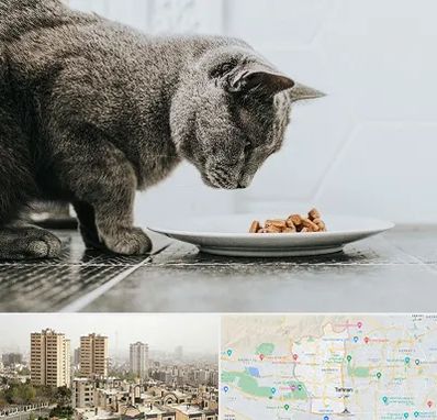 خرید غذای گربه در منطقه 5 تهران 