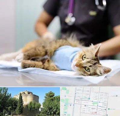 جراح حیوانات در مرداویج اصفهان