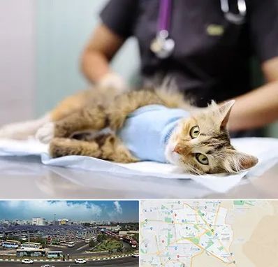 جراح حیوانات در منطقه 15 تهران 