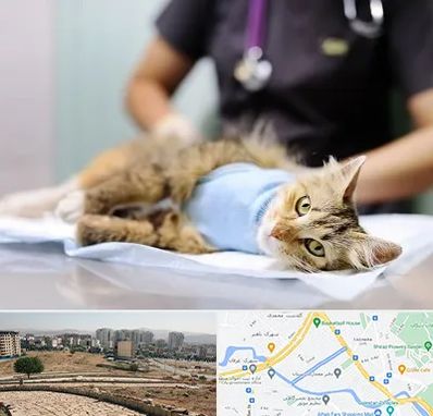جراح حیوانات در کوی وحدت شیراز