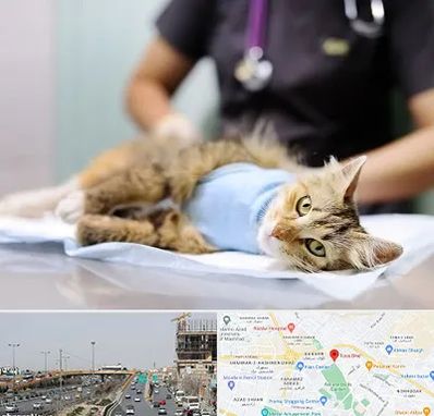جراح حیوانات در بلوار توس مشهد