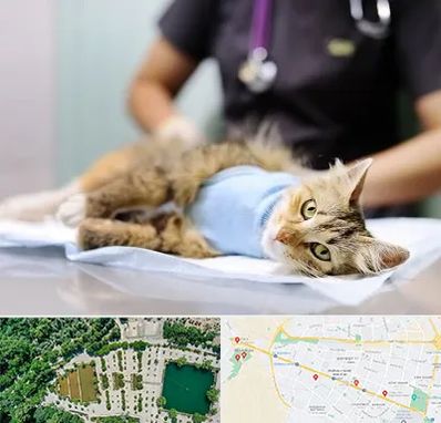 جراح حیوانات در وکیل آباد مشهد