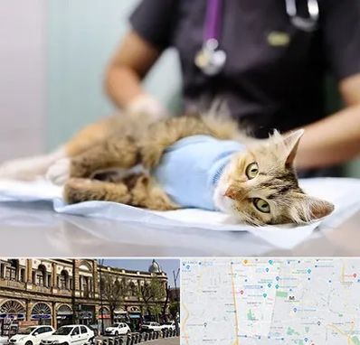 جراح حیوانات در منطقه 11 تهران 