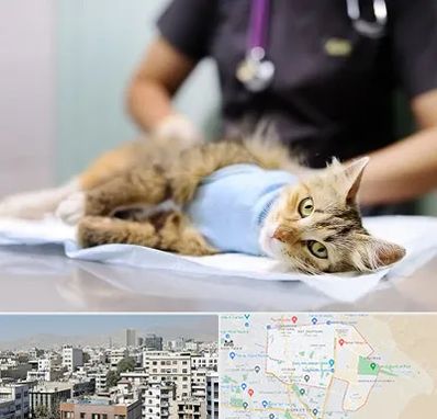 جراح حیوانات در منطقه 14 تهران 