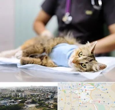 جراح حیوانات در منطقه 20 تهران 