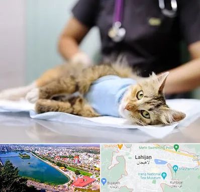 جراح حیوانات در لاهیجان