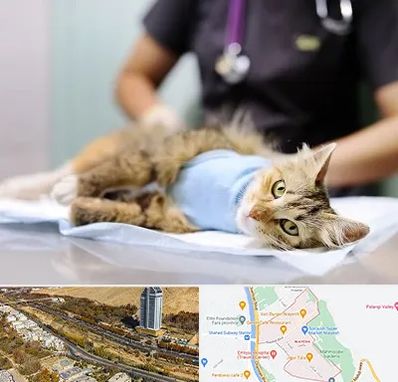 جراح حیوانات در خیابان نیایش شیراز