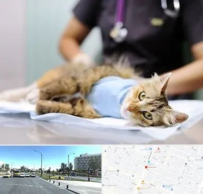 جراح حیوانات در بلوار کلاهدوز مشهد