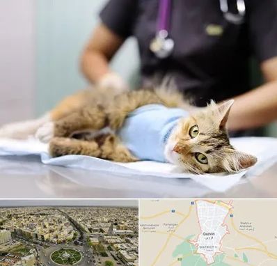 جراح حیوانات در قزوین
