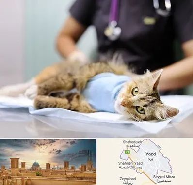 جراح حیوانات در یزد