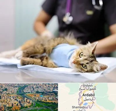 جراح حیوانات در اردبیل