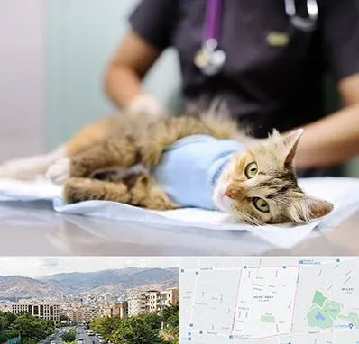 جراح حیوانات در خانی آباد