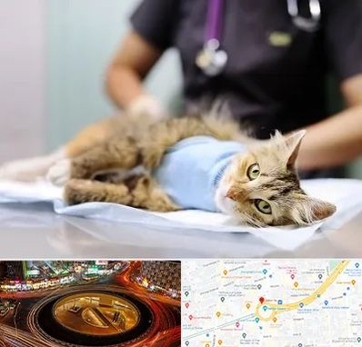 جراح حیوانات در میدان ولیعصر 