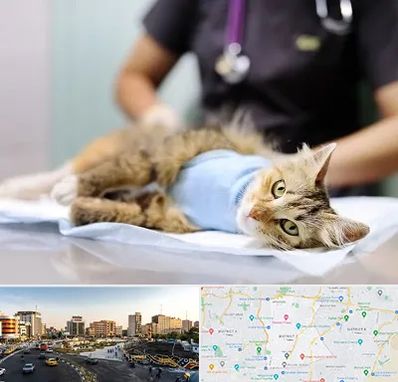 جراح حیوانات در منطقه 7 تهران 