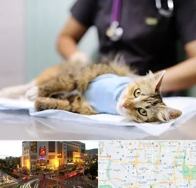 جراح حیوانات در جنت آباد تهران 