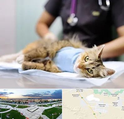 جراح حیوانات در بهارستان اصفهان