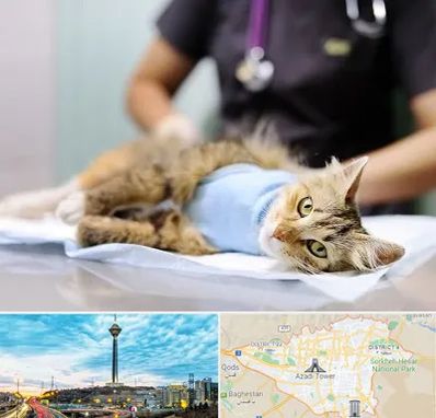 جراح حیوانات در تهران