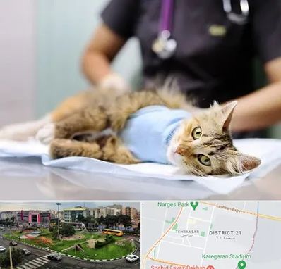 جراح حیوانات در تهرانسر 