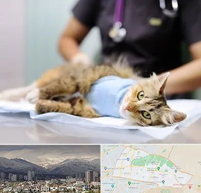 جراح حیوانات در منطقه 4 تهران 
