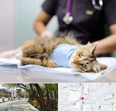 جراح حیوانات در خیابان توحید اصفهان