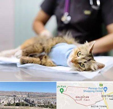 جراح حیوانات در شهرک گلستان شیراز