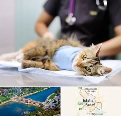 جراح حیوانات در اصفهان